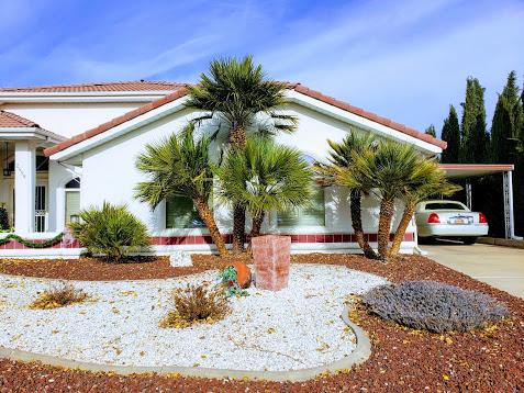 20181218_133601-EFFECTS