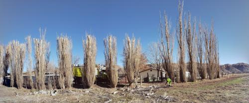 20190104_144725-PANO