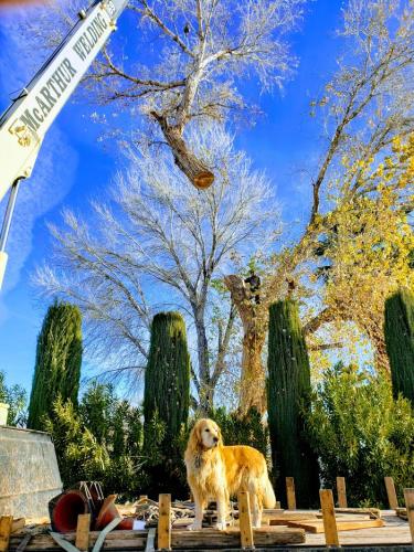 20190114_094321-EFFECTS